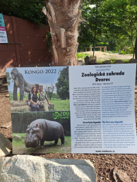 Krokodýli mají svůj pavilon